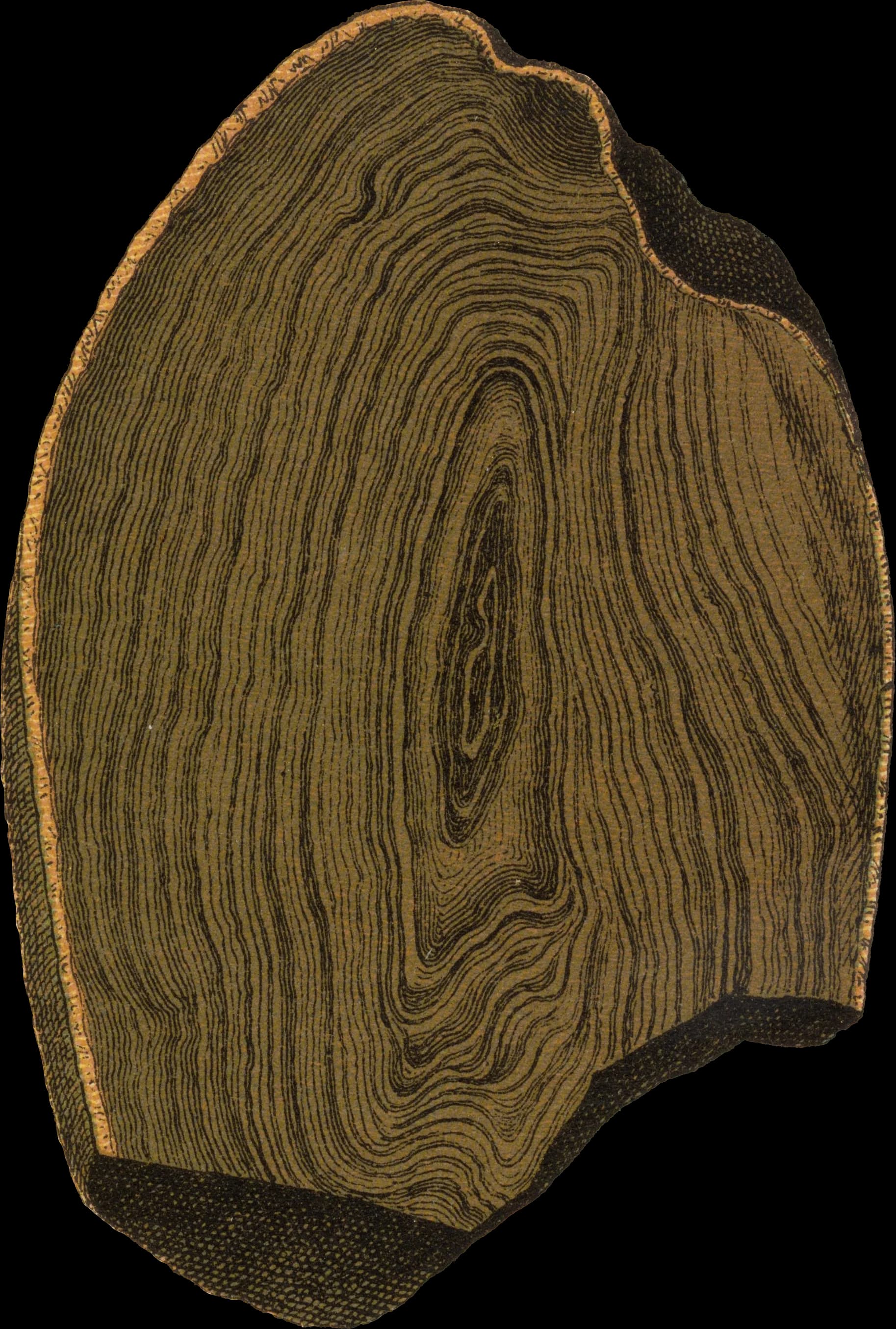 Enneagram Archetypes